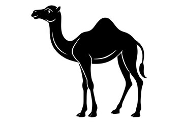 camel vector illustration