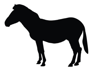 Zebra Silhouettes Isolated on White Background