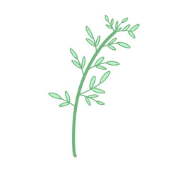 Fototapeta na wymiar Small plant illustration