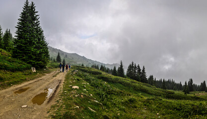 View of colorful mountains, meadow, and valley with clouds. Ski resort. Sharr Mountains, Popova Shapka.