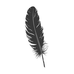 Silhouette single feather black color only