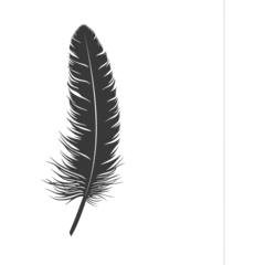 Tableaux sur verre Plumes Silhouette single feather black color only