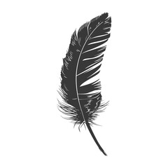 Silhouette single feather black color only