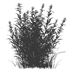 Naklejka premium Silhouette small tall bush black color only