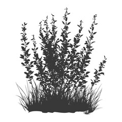 Obraz premium Silhouette small tall bush black color only