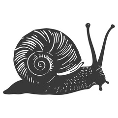Silhouette snail Animal black color only full body
