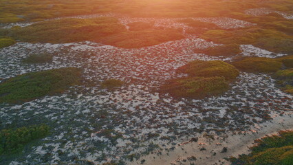 Drone golden sunrise light illuminate steppe ground with low greenery. Nature 