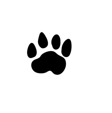 Animal Footprints Icon