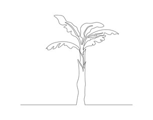 Fototapeta na wymiar Continuous Line Drawing Of Banana Tree. One Line Of Banana Plant. Banana Tree Continuous Line Art. Editable Outline.