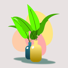 illustration of a plant