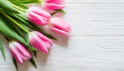 Obraz na płótnie Canvas pink tulips on white background with copy space top view