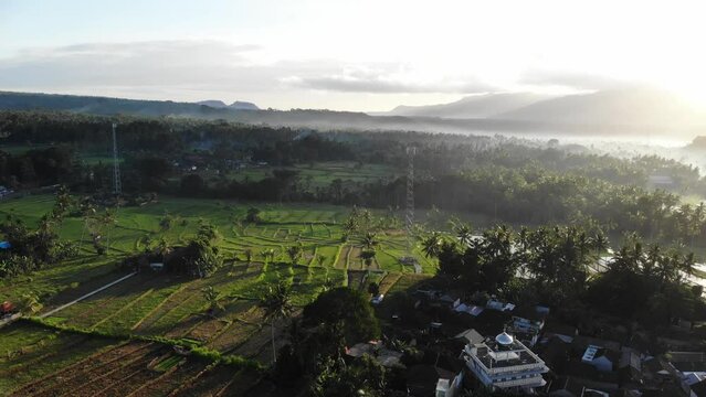 Rice terraces in the sunshine aerial view