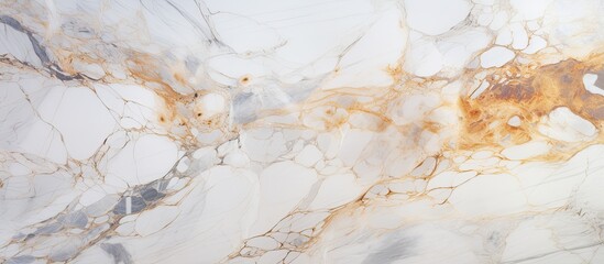 A detailed closeup of a white marble texture with a prominent brown stain resembling a liquid spill. The contrast between the colors resembles the colors of soil in winter
