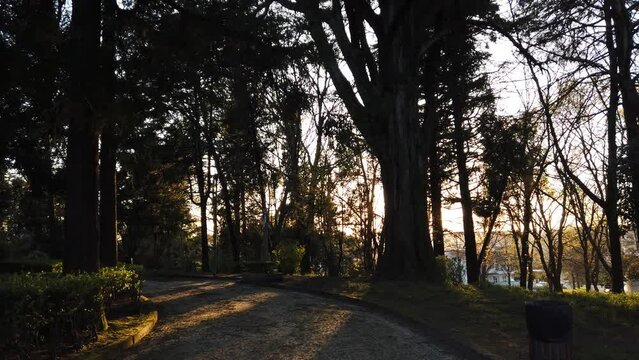 Parque