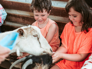 Children smile with delight as they feed and groom a friendly goat at a summer farm school, enjoying a hands-on learning experience