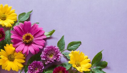 multicolored spring flowers on purple background