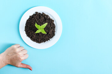 A plastic white plate with black loose soil, a green sprout and a female caucasian hand with a dislike.