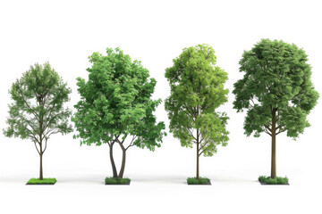 Fototapeta na wymiar Set of Trees isolated on a white background. 3D tree for landscape design Garden and park green tree. 