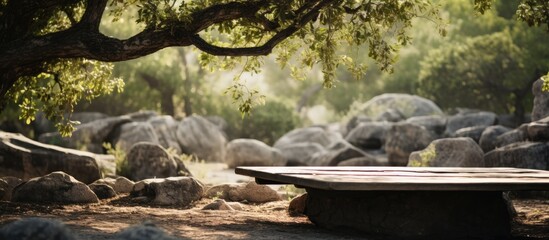 A wooden table is nestled under a tree in a rocky area, surrounded by terrestrial plants and grass, creating a natural landscape with a forest backdrop