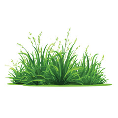 illustration of green grass flat vector illustratio