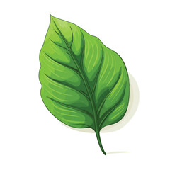 illustration of green leaf on white flat vector ill