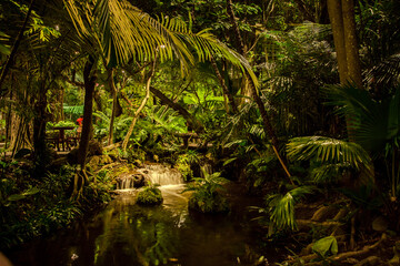waterfall in the jungle