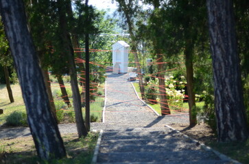 red wires in the park