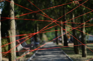 red wires in the park