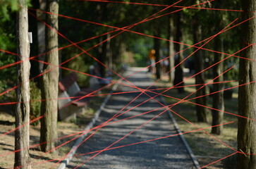 red wires in the park