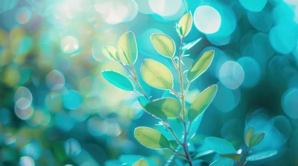 Rolgordijnen Creative growing plant on blurry blue background. AI generated image © yusufadi