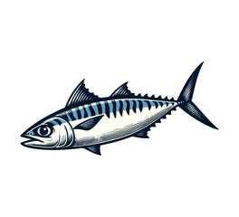 Atlantic Mackerel Fish hand drawn vector illustration