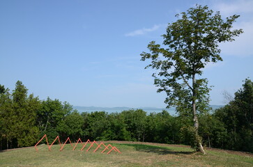 red geometric sculpture in the meadow