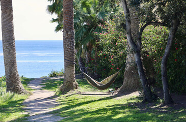 hammock swinging between two palm trees