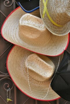Sombreros,indispensables para esas jornadas de mucho sol!