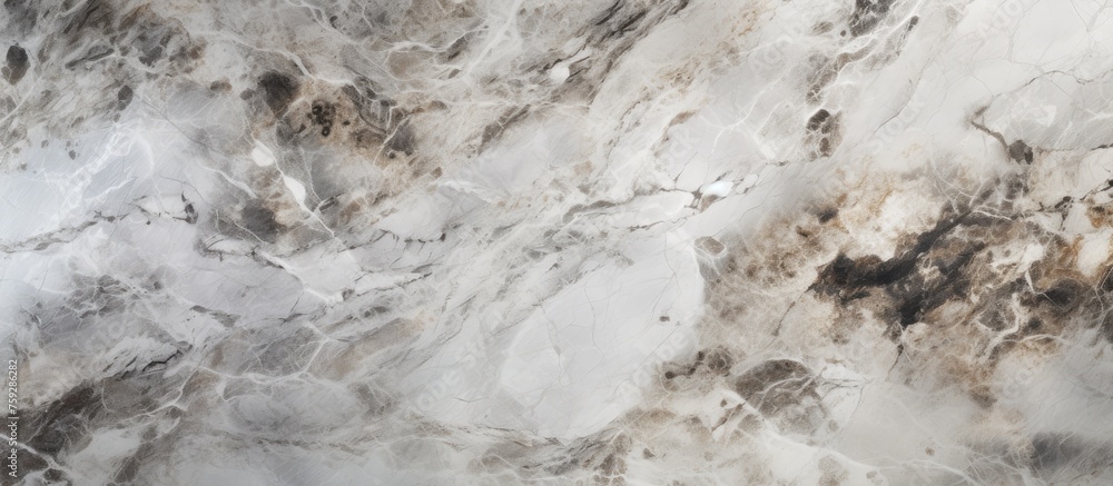 Poster a detailed image capturing the intricate patterns of a gray and white marble counter top, resembling