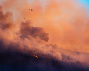 a dramatic picture of bush fires in Port Hills (Christchurch, Canterbury, New Zealand South Island) and firefighter helicopters carrying water to extinguish