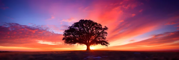 Foto op Canvas Resplendent Sunset Over the Horizon: A Spectacular Display of Nature's Twilight Colors and the Silhouette of a Solitary Tree © Marie