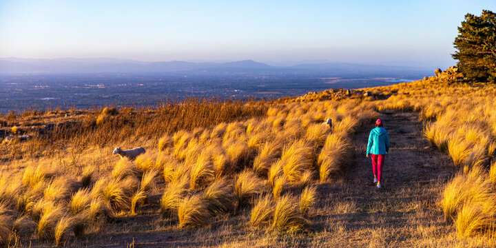 hiker girl enjoys a walk in john britten reserve in christchurch, new zealand south island; panorama of the city in the background