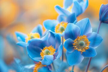 Beautiful flowers in yellow and blue shades with beautiful blurred background and nice lighting