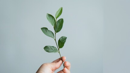 A hand holding a green leaf in front of grey background, AI - Powered by Adobe