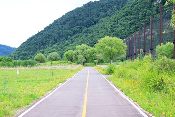 산책로 - 자전거도로