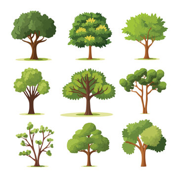 Set of tree wood illustration flat vector illustrat