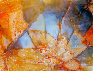 Agatized fossil coral with triangular kaleidoscope shapes agate