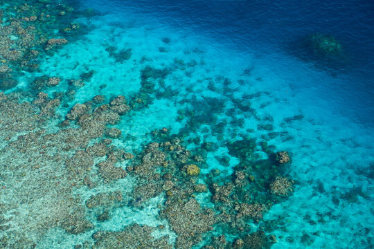 Coral at Great Barrier Reef Marine Park