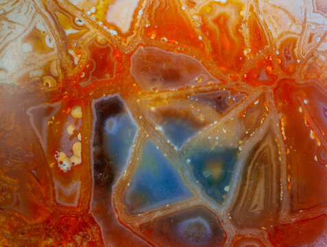 Agatized fossil coral with triangular kaleidoscope shapes agate