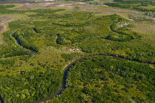 River Estuaries from above in Port Douglas 