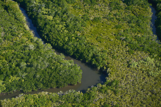 Daintree River System in Far North Queensland 