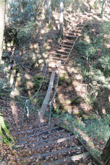 足場板で作られた山林の中の仮設橋
