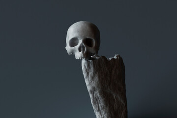 human skull on a rock