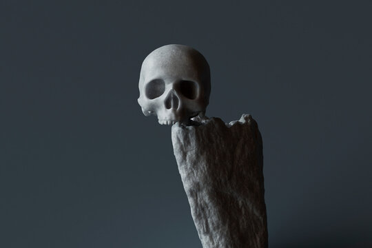 human skull on a rock